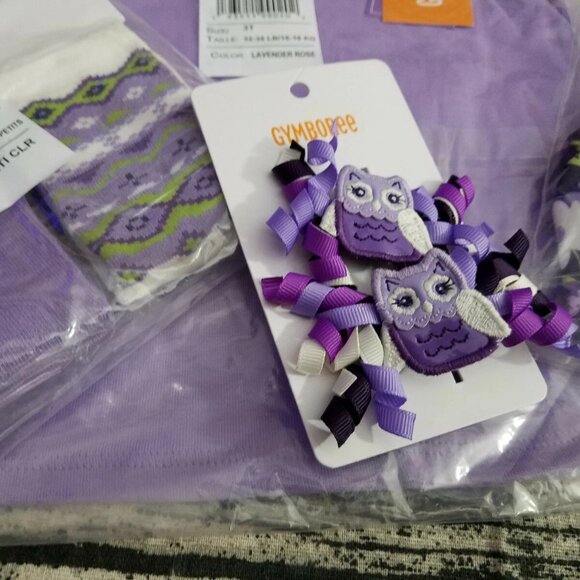Gymboree Whooo's Cute 3T Leggings Owl Shirt Hair Curly Clips Outfit NWT - Picture 4 of 4
